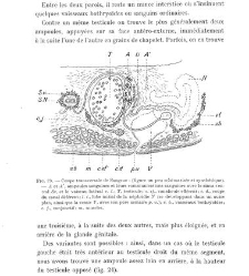 Archives d'anatomie microscopique et de morphologie exp&eacute;rimentale(1933.04) document 143321