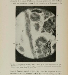 Archives d&apos;anatomie microscopique et de morphologie expérimentale(1933.04) document 143325