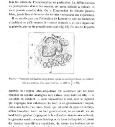 Archives d'anatomie microscopique et de morphologie exp&eacute;rimentale(1933.04) document 143326