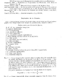Archives d'anatomie microscopique et de morphologie exp&eacute;rimentale(1933.04) document 143332