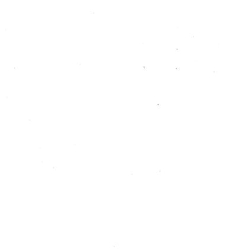 Archives d'anatomie microscopique et de morphologie exp&eacute;rimentale(1933.04) document 143335