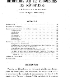 Archives d'anatomie microscopique et de morphologie exp&eacute;rimentale(1933.04) document 143336