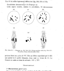 Archives d'anatomie microscopique et de morphologie exp&eacute;rimentale(1933.04) document 143360