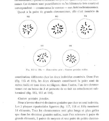 Archives d'anatomie microscopique et de morphologie exp&eacute;rimentale(1933.04) document 143361