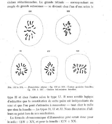 Archives d'anatomie microscopique et de morphologie exp&eacute;rimentale(1933.04) document 143364