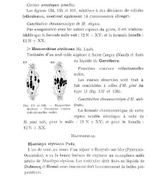 Archives d&apos;anatomie microscopique et de morphologie expérimentale(1933.04) document 143365