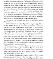 Archives d'anatomie microscopique et de morphologie exp&eacute;rimentale(1933.04) document 143374