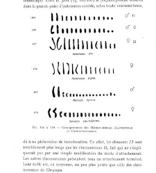 Archives d'anatomie microscopique et de morphologie exp&eacute;rimentale(1933.04) document 143377