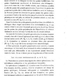 Archives d'anatomie microscopique et de morphologie exp&eacute;rimentale(1933.04) document 143388