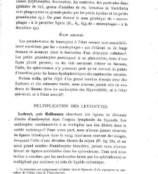 Archives d'anatomie microscopique et de morphologie exp&eacute;rimentale(1933.04) document 143392