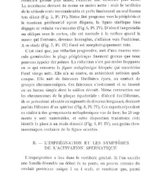 Archives d'anatomie microscopique et de morphologie exp&eacute;rimentale(1933.04) document 143433
