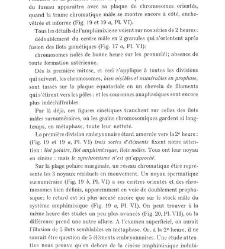 Archives d'anatomie microscopique et de morphologie exp&eacute;rimentale(1933.04) document 143439