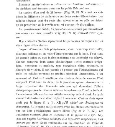 Archives d'anatomie microscopique et de morphologie exp&eacute;rimentale(1933.04) document 143451
