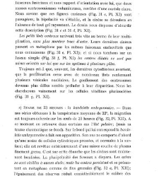 Archives d'anatomie microscopique et de morphologie exp&eacute;rimentale(1933.04) document 143452