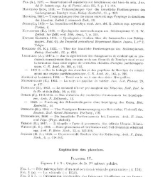 Archives d'anatomie microscopique et de morphologie exp&eacute;rimentale(1933.04) document 143509