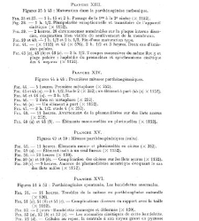 Archives d'anatomie microscopique et de morphologie exp&eacute;rimentale(1933.04) document 143512