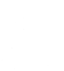 Archives d'anatomie microscopique et de morphologie exp&eacute;rimentale(1933.04) document 143521