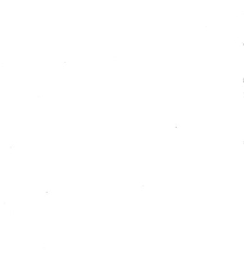 Archives d'anatomie microscopique et de morphologie exp&eacute;rimentale(1933.04) document 143525