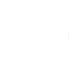 Archives d'anatomie microscopique et de morphologie exp&eacute;rimentale(1933.04) document 143535