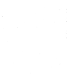 Archives d'anatomie microscopique et de morphologie exp&eacute;rimentale(1933.04) document 143537