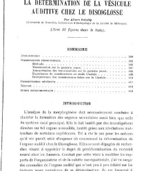 Archives d'anatomie microscopique et de morphologie exp&eacute;rimentale(1933.04) document 143564
