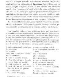 Archives d'anatomie microscopique et de morphologie exp&eacute;rimentale(1933.04) document 143569