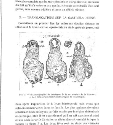 Archives d'anatomie microscopique et de morphologie exp&eacute;rimentale(1933.04) document 143572