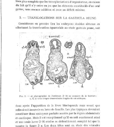 Archives d&apos;anatomie microscopique et de morphologie expérimentale(1933.04) document 143572