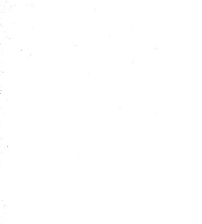 Archives d'anatomie microscopique et de morphologie exp&eacute;rimentale(1933.04) document 143606