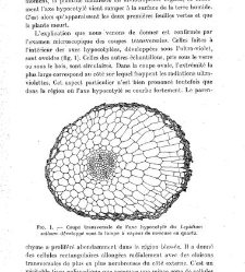 Revue g&eacute;n&eacute;rale de botanique (Paris)(1913) document 152734