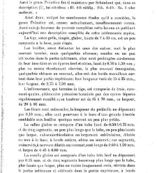 Revue g&eacute;n&eacute;rale de botanique (Paris)(1913) document 152780