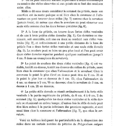 Revue g&eacute;n&eacute;rale de botanique (Paris)(1913) document 152793