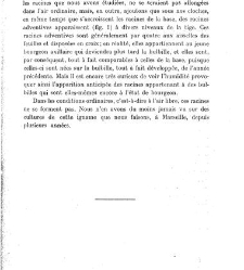 Revue g&eacute;n&eacute;rale de botanique (Paris)(1913) document 152822