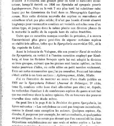 Revue g&eacute;n&eacute;rale de botanique (Paris)(1913) document 152840