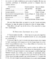 Revue g&eacute;n&eacute;rale de botanique (Paris)(1913) document 152848