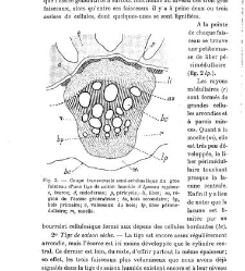 Revue g&eacute;n&eacute;rale de botanique (Paris)(1913) document 152851