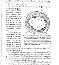 Revue g&eacute;n&eacute;rale de botanique (Paris)(1913) document 152852