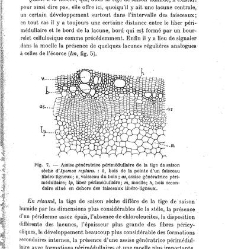 Revue g&eacute;n&eacute;rale de botanique (Paris)(1913) document 152856