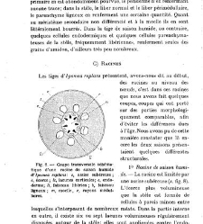 Revue g&eacute;n&eacute;rale de botanique (Paris)(1913) document 152857