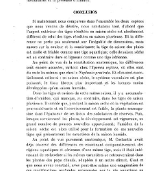 Revue g&eacute;n&eacute;rale de botanique (Paris)(1913) document 152865