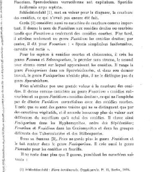 Revue g&eacute;n&eacute;rale de botanique (Paris)(1913) document 152872