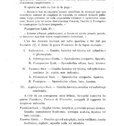 Revue g&eacute;n&eacute;rale de botanique (Paris)(1913) document 152873