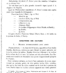 Revue g&eacute;n&eacute;rale de botanique (Paris)(1913) document 152876