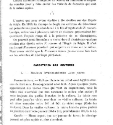 Revue g&eacute;n&eacute;rale de botanique (Paris)(1913) document 152882