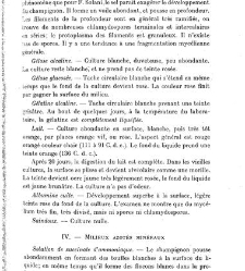 Revue g&eacute;n&eacute;rale de botanique (Paris)(1913) document 152884