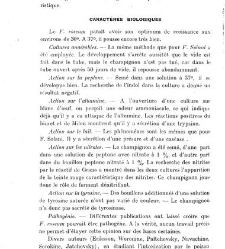 Revue g&eacute;n&eacute;rale de botanique (Paris)(1913) document 152885