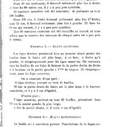 Revue g&eacute;n&eacute;rale de botanique (Paris)(1913) document 152890