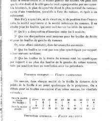 Revue g&eacute;n&eacute;rale de botanique (Paris)(1913) document 152894