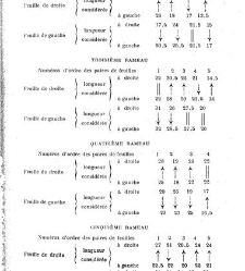 Revue g&eacute;n&eacute;rale de botanique (Paris)(1913) document 152896