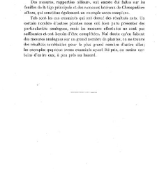 Revue g&eacute;n&eacute;rale de botanique (Paris)(1913) document 152899
